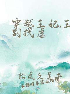 穿越王妃,王爷别找虐