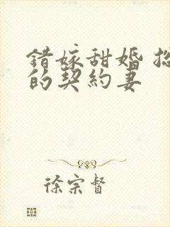 错嫁甜婚 总裁的契约妻