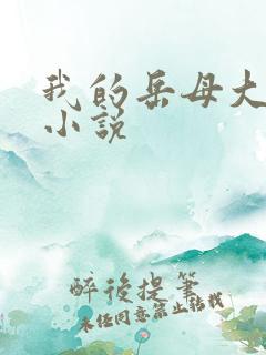 我的岳母大人,小说