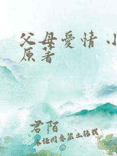 父母爱情 小说原著