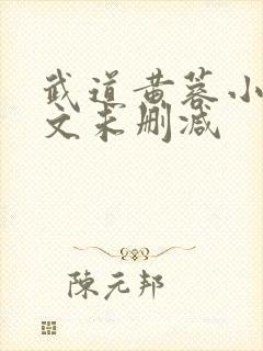 武道黄蓉小说全文未删减