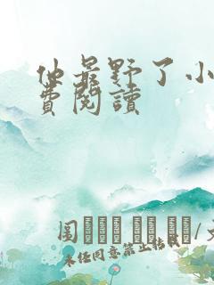 他最野了小说免费阅读