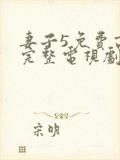 妻子5免费高清完整电视剧