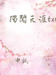 独闯天涯txt