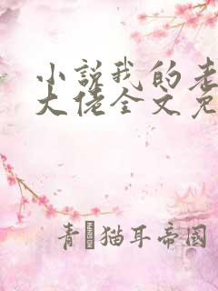 小说我的老公是大佬全文免费阅读