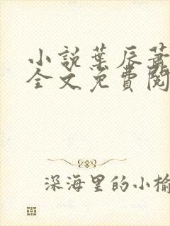小说叶辰萧初然全文免费阅读