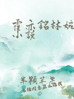 霍亦铭林婉兮的小说