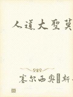 人道大圣莫默著