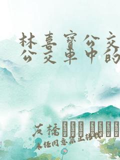 林喜宝公交车(公交车中的林喜宝)