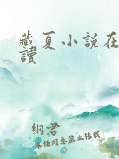 藏夏小说在线阅读