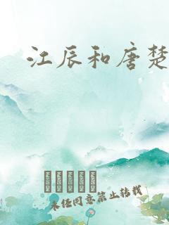 江辰和唐楚楚