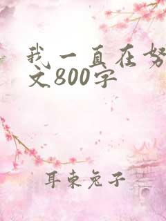我一直在努力作文800字