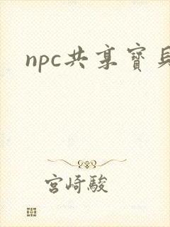 npc共享宝贝