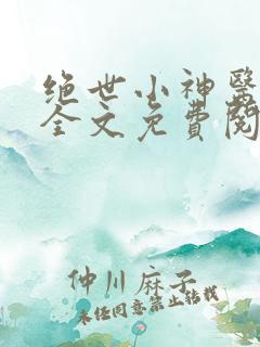绝世小神医张冬全文免费阅读