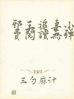 邪王追妻小说免费阅读无弹窗