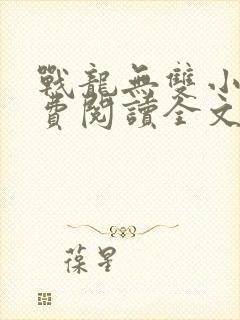 战龙无双小说免费阅读全文
