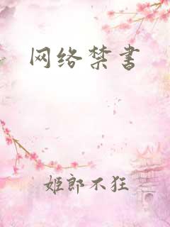 网络禁书