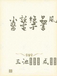 小说绝品风流狂医电子书