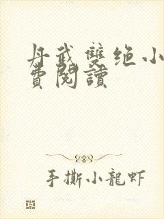 丹武双绝小说免费阅读
