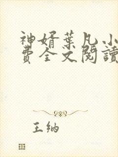神婿叶凡小说免费全文阅读