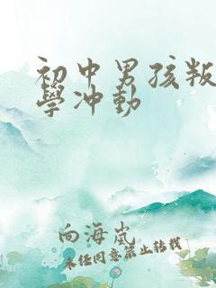 初中男孩叛逆厌学冲动