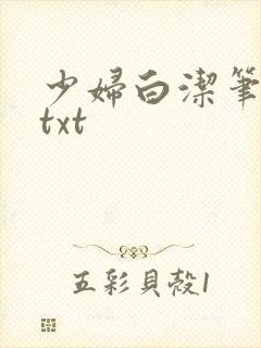 少妇白洁笔趣阁txt
