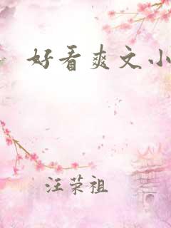 好看爽文小说