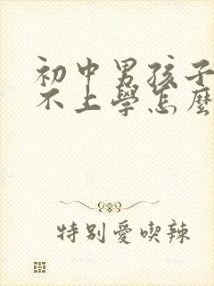 初中男孩子叛逆不上学怎么办