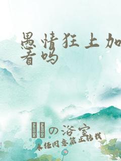 愚情狂上加狂好看吗