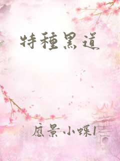特种黑道