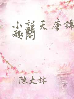 小说天唐锦绣笔趣阁