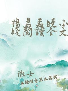 杨易孟晓小说在线阅读全文