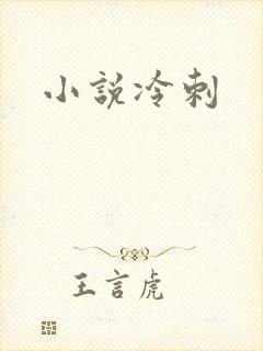 小说冷刺