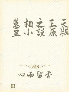 万相之王天蚕土豆小说原版