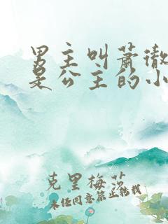 男主叫萧彻女主是公主的小说