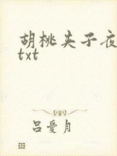 胡桃夹子夜未眠txt
