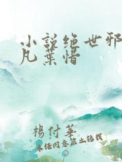 小说绝世邪医林凡叶惜