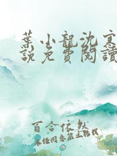 叶小龙沈寒溪小说免费阅读全文无弹窗