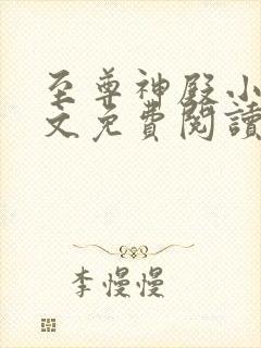 至尊神殿小说全文免费阅读无弹窗