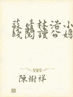 苏晴林浩小说在线阅读公媳乱了小说阅读网