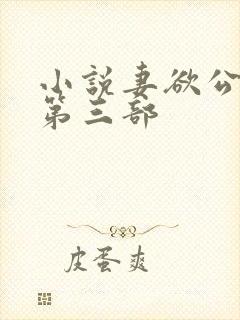 小说妻欲公与媳第三部
