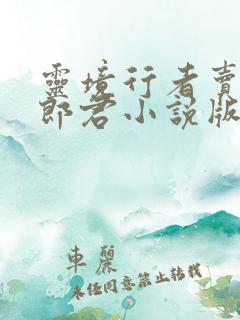 灵境行者卖报小郎君小说版