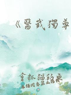 《医武独尊》