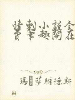 情刺小说全文免费笔趣阁在线阅读