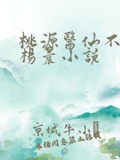 桃源医仙不风流杨晨小说