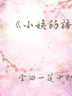 《小姨的诱惑》