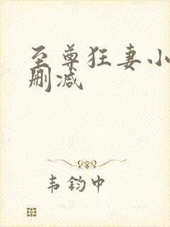 至尊狂妻小说无删减