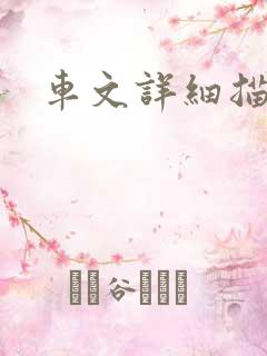 车文详细描写