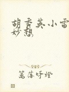 胡秀英小雷奇思妙想