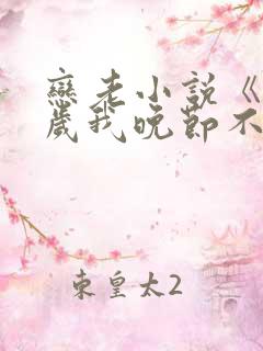 恋老小说《68岁我晚节不保》